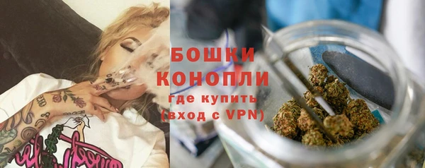 ALPHA PVP Новозыбков