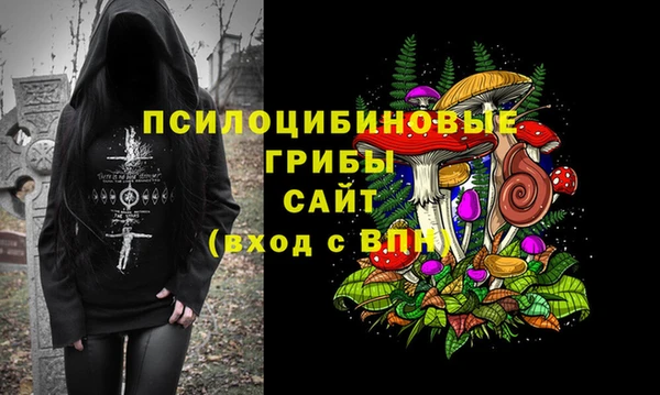 не бодяженный Няндома