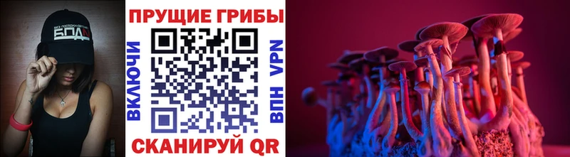 Псилоцибиновые грибы Magic Shrooms где купить наркоту Собинка